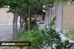 تصاویری از پردیس شهید چمران - عصر ۱۷ اردیبهشت ۱۴۰۳ 55