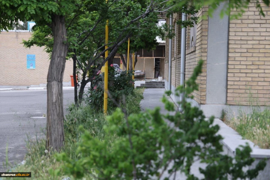 تصاویری از پردیس شهید چمران - عصر ۱۷ اردیبهشت ۱۴۰۳ 55