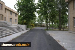 تصاویری از پردیس شهید چمران - عصر ۱۷ اردیبهشت ۱۴۰۳ 56