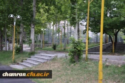 تصاویری از پردیس شهید چمران - عصر ۱۷ اردیبهشت ۱۴۰۳ 58