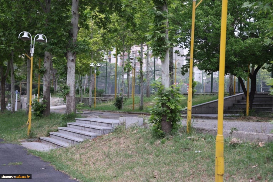تصاویری از پردیس شهید چمران - عصر ۱۷ اردیبهشت ۱۴۰۳ 58