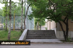 تصاویری از پردیس شهید چمران - عصر ۱۷ اردیبهشت ۱۴۰۳ 60