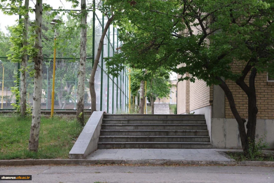 تصاویری از پردیس شهید چمران - عصر ۱۷ اردیبهشت ۱۴۰۳ 60