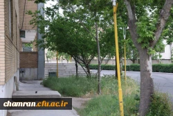 تصاویری از پردیس شهید چمران - عصر ۱۷ اردیبهشت ۱۴۰۳ 63