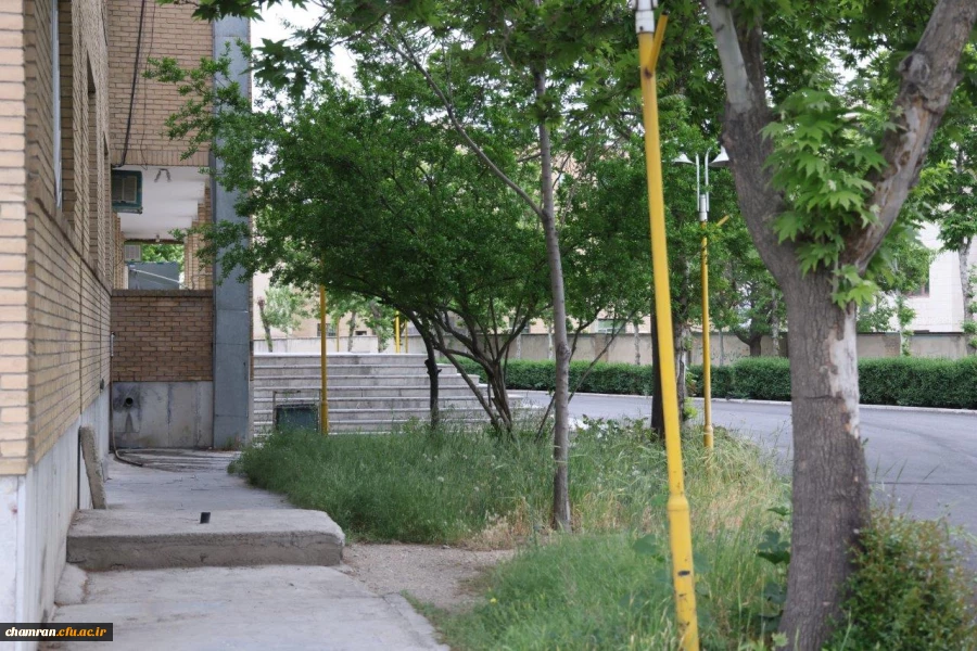 تصاویری از پردیس شهید چمران - عصر ۱۷ اردیبهشت ۱۴۰۳ 63