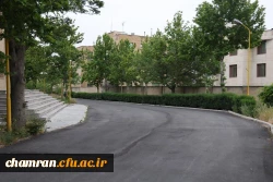 تصاویری از پردیس شهید چمران - عصر ۱۷ اردیبهشت ۱۴۰۳ 65