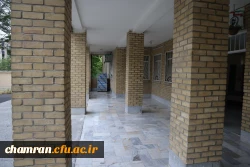 تصاویری از پردیس شهید چمران - عصر ۱۷ اردیبهشت ۱۴۰۳ 67