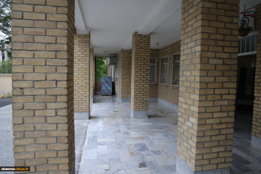 تصاویری از پردیس شهید چمران - عصر ۱۷ اردیبهشت ۱۴۰۳ 67