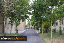 تصاویری از پردیس شهید چمران - عصر ۱۷ اردیبهشت ۱۴۰۳ 70