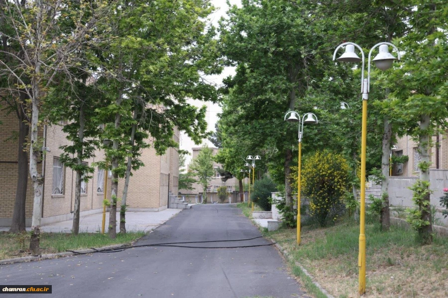 تصاویری از پردیس شهید چمران - عصر ۱۷ اردیبهشت ۱۴۰۳ 70