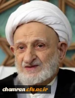 آیت الله العظمی محمدتقی بهجت 2