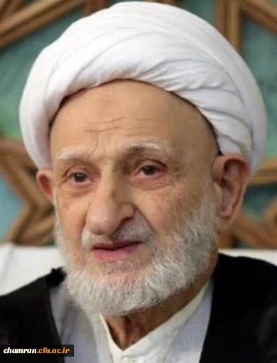 آیت الله العظمی محمدتقی بهجت 2
