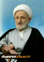 آیت الله العظمی محمدتقی بهجت 2