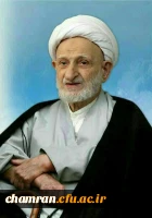 آیت الله العظمی محمدتقی بهجت 2