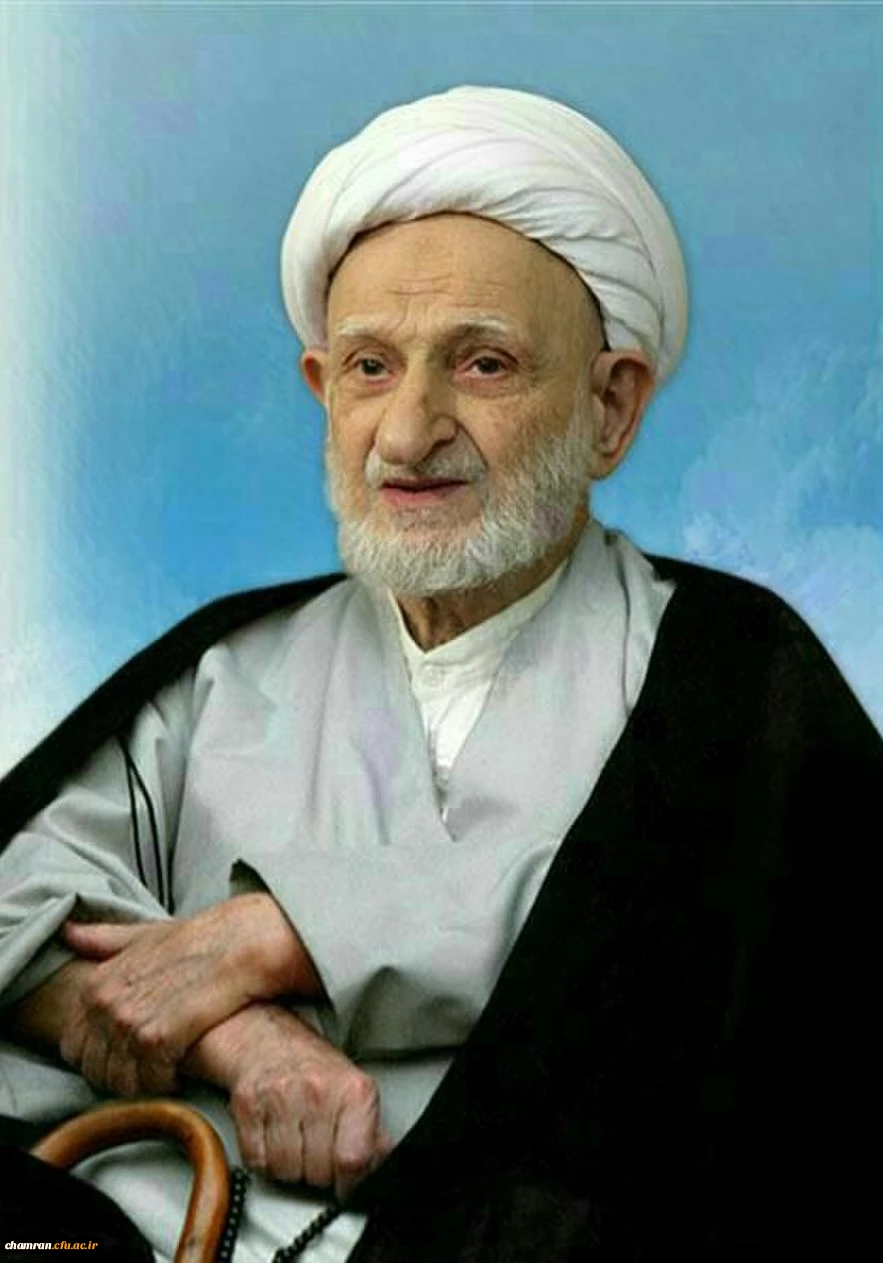 آیت الله العظمی محمدتقی بهجت 2