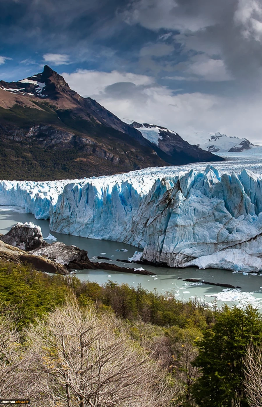 روز جهانی محیط زیست گرامی باد
 2