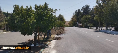 انجام پروژه های متعدد عمرانی