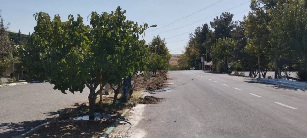 انجام پروژه های متعدد عمرانی 2