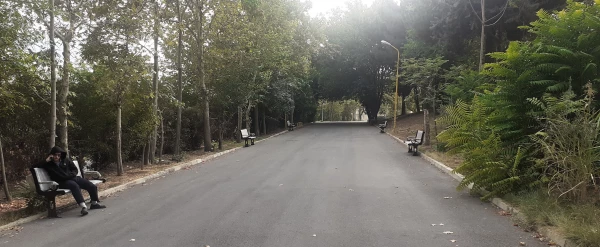 جایگذاری نیمکتهای فلزی در خیابان ضلع شرقی پردیس شهید چمران 2