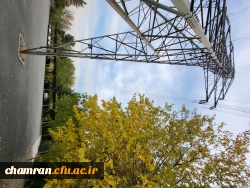 امیررضا حسین زاده (4)