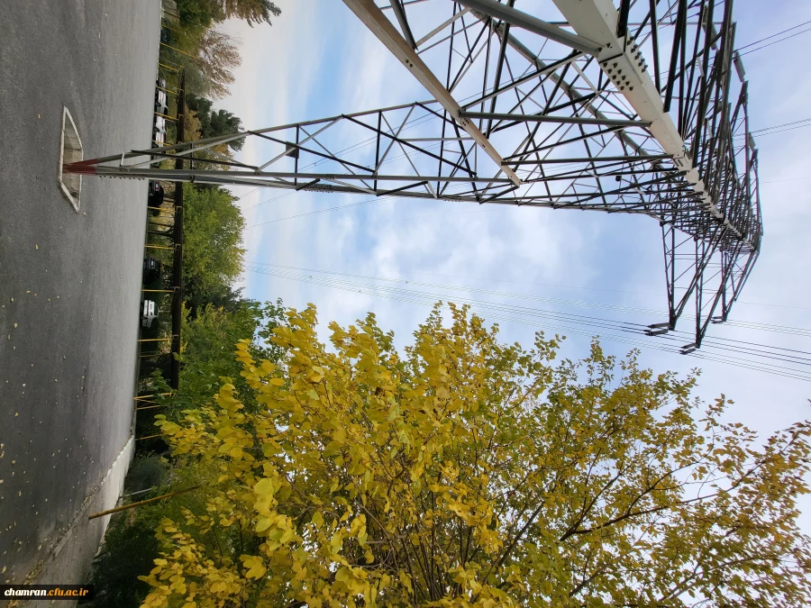 امیررضا حسین زاده (4)