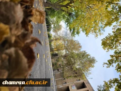 امیررضا حسین زاده (2)