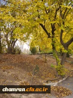 چشم انداز پاییز ۱۴۰۳ 2