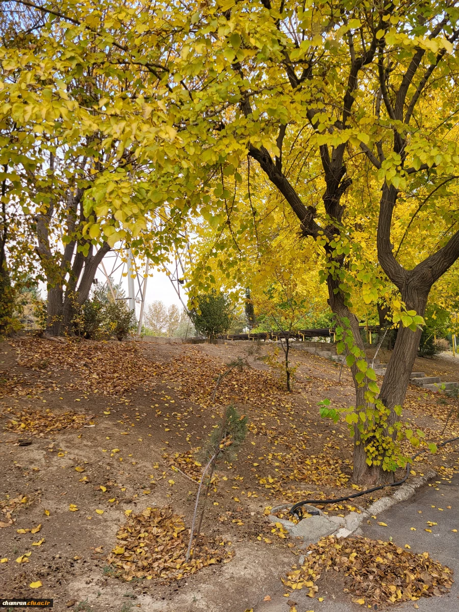 چشم انداز پاییز ۱۴۰۳ 2