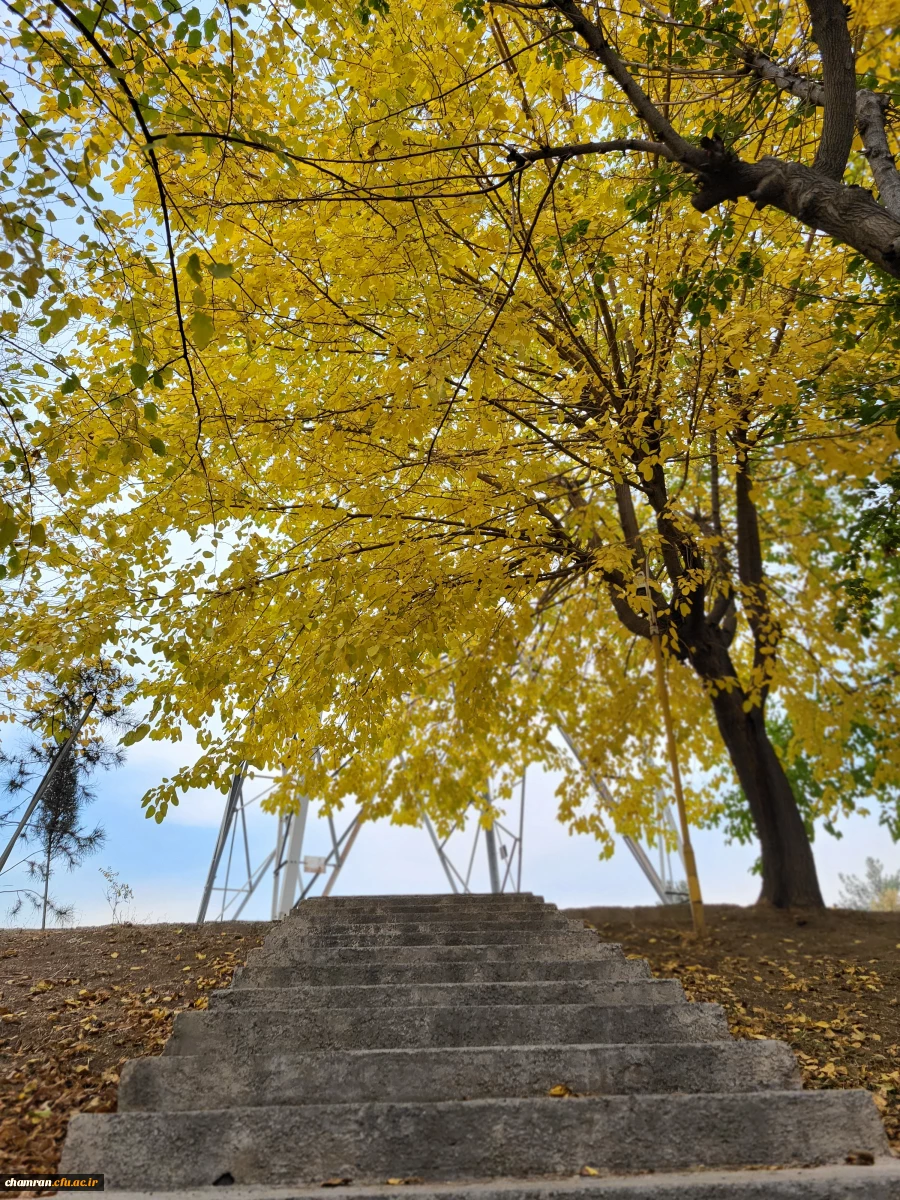 امیررضا حسین زاده (1)