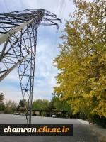 امیررضا حسین زاده (4)