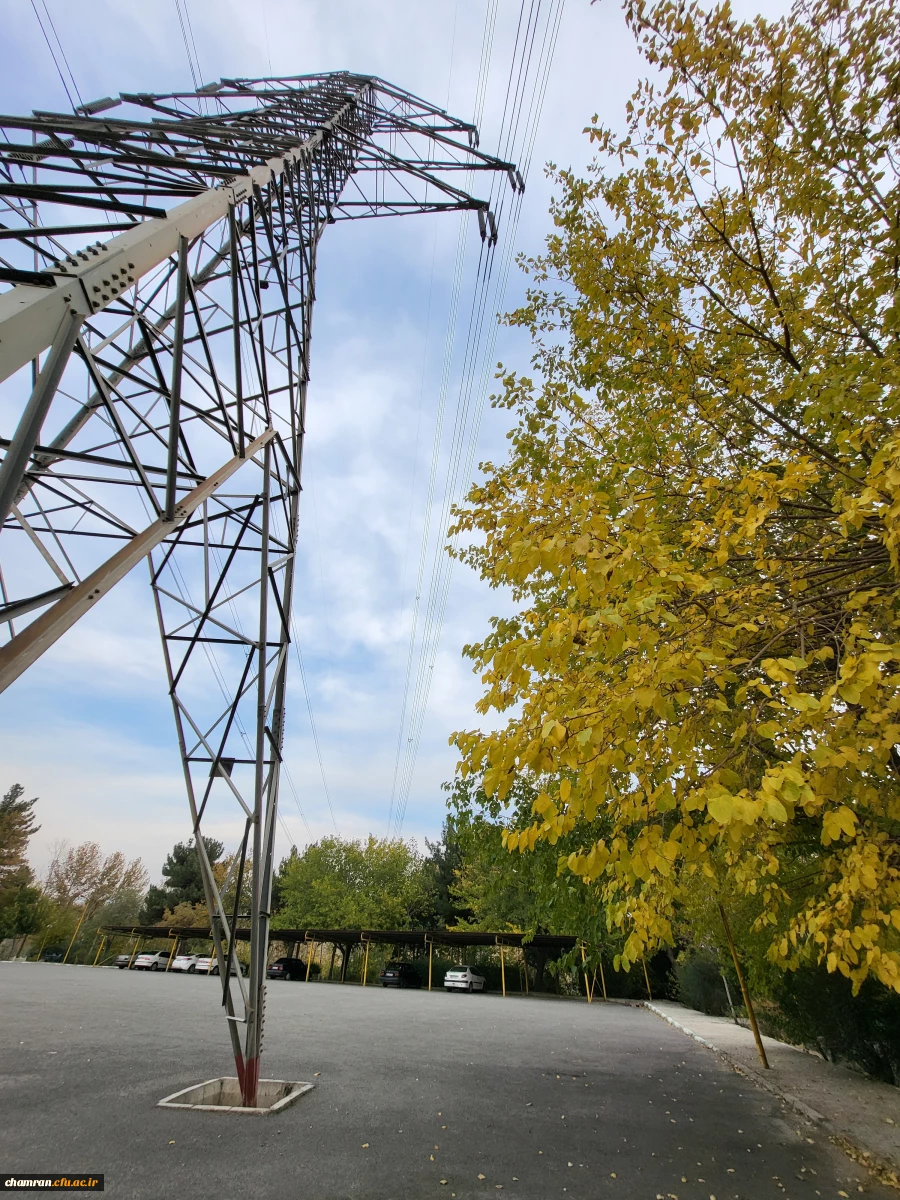 امیررضا حسین زاده (4)