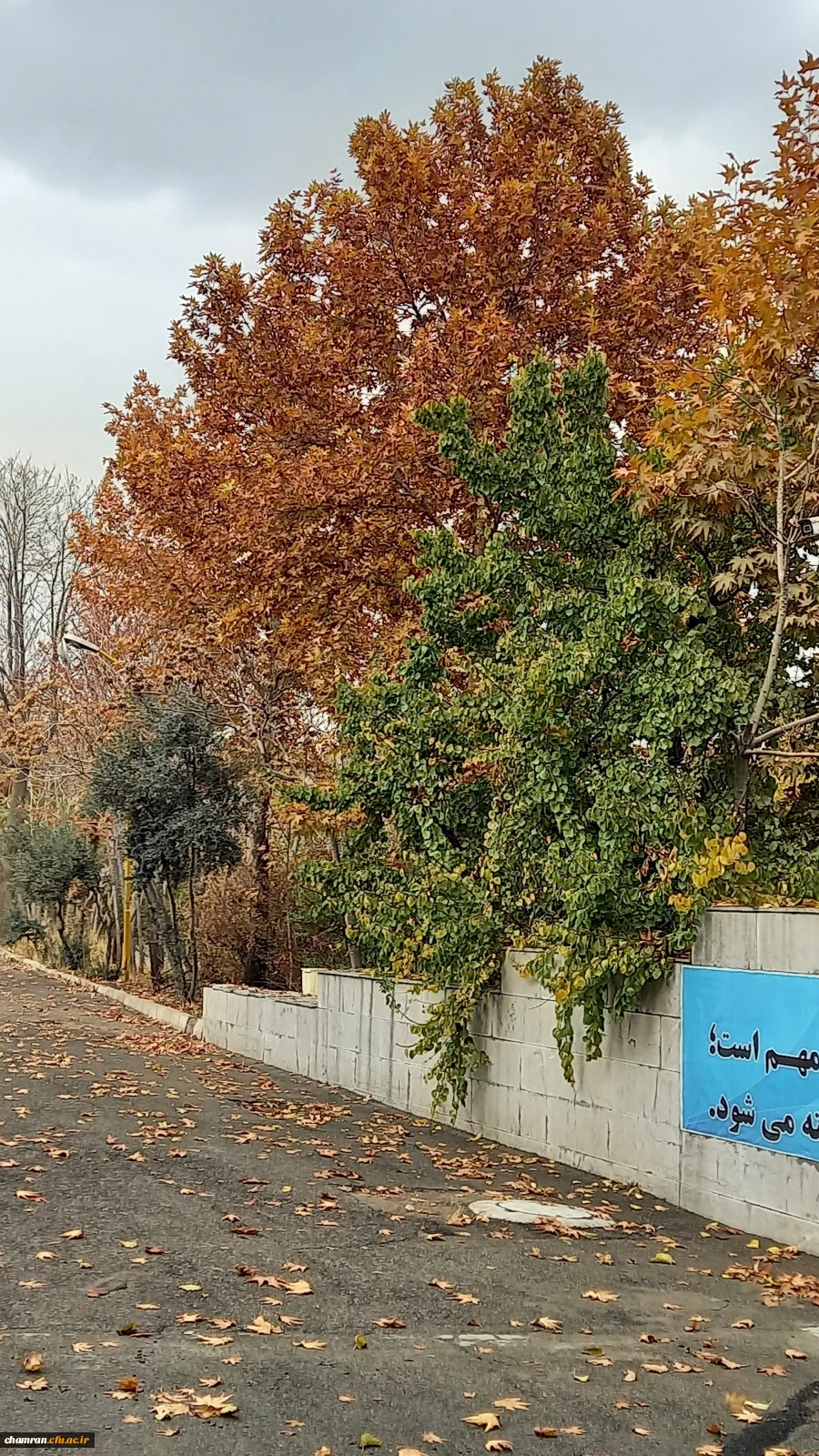 محمد امین ناطقی (2)