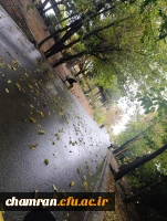 محمدعرفان حیدری (10)