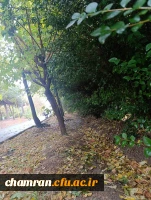 محمدعرفان حیدری (9)