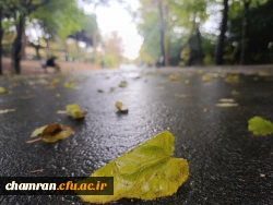 محمدعرفان حیدری (8)