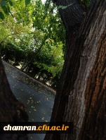 محمدعرفان حیدری (11)