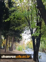 محمدعرفان حیدری (7)