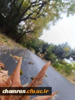 محمدعرفان حیدری (2)