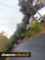 محمدعرفان حیدری (3)