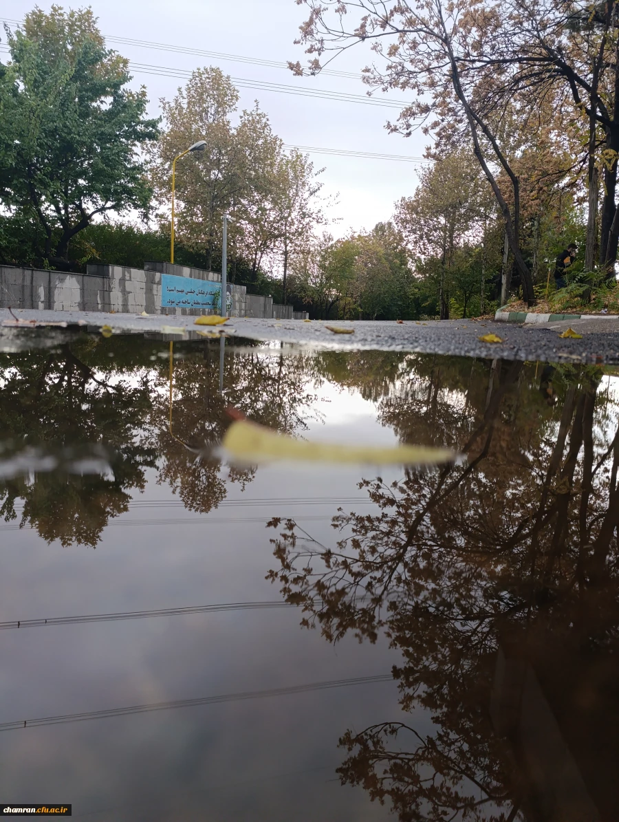 محمدعرفان حیدری (1)