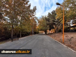 علی جهان تیغ (1)