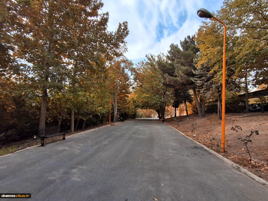 علی جهان تیغ (1)