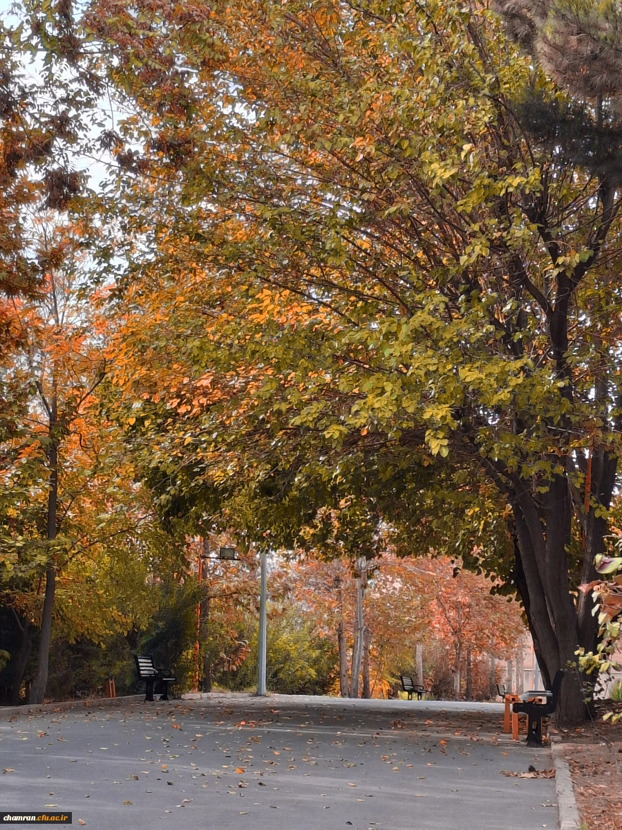 علی جهان تیغ (2)