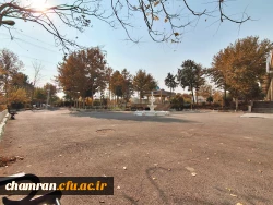 علی جهان تیغ (3)