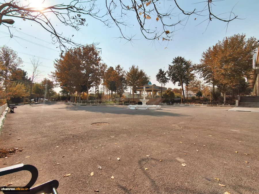 علی جهان تیغ (3)