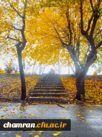 امیر مهدی بزرگی (2)