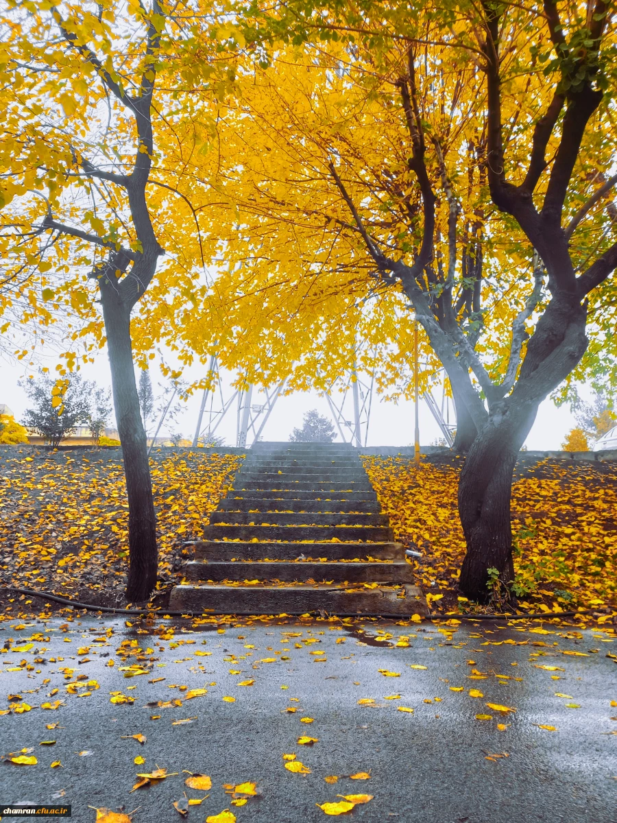 امیر مهدی بزرگی (2)