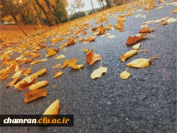 امیر مهدی بزرگی (3)