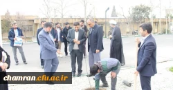 درختکاری در محوطه پردیس شهید چمران 2
