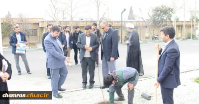 درختکاری در محوطه پردیس شهید چمران